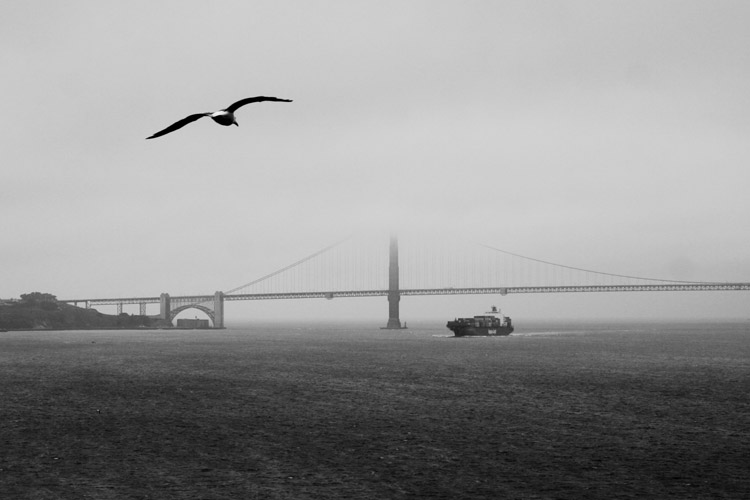 The top of the Bay Bridge disappears in the afternoon fog of San Francisco.